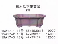 剣木瓜鉢(大品鉢）