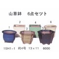 ミニ盆栽鉢セット（４号６品）