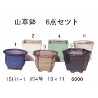 ミニ盆栽鉢セット（４号６品）