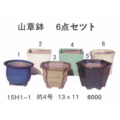 画像1: ミニ盆栽鉢セット（４号６品）