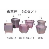 ミニ盆栽鉢セット（４号６品）