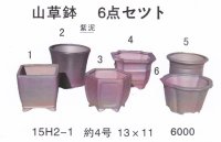 ミニ盆栽鉢セット（４号６品）