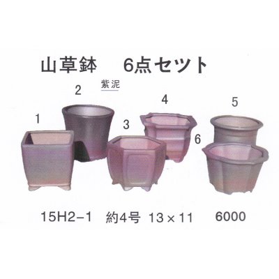 画像1: ミニ盆栽鉢セット（４号６品）