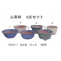 ミニ盆栽鉢セット（５号６品）