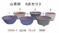 ミニ盆栽鉢セット（５号６品）