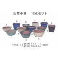 ミニ盆栽鉢セット（３号・４号１２品）