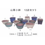 ミニ盆栽鉢セット（３号・４号１２品）