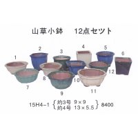 ミニ盆栽鉢セット（３号・４号１２品）