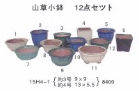 ミニ盆栽鉢セット（３号・４号１２品）