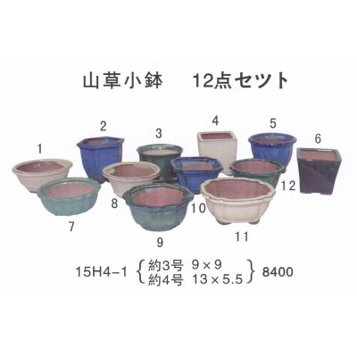 画像1: ミニ盆栽鉢セット（３号・４号１２品）