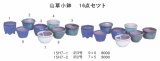 ミニ盆栽鉢セット（２号・３号１６品）
