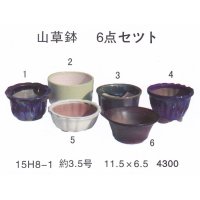 ミニ盆栽鉢セット（３．５号６品）