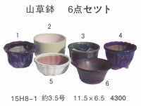 ミニ盆栽鉢セット（３．５号６品）