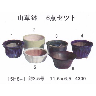 画像1: ミニ盆栽鉢セット（３．５号６品）