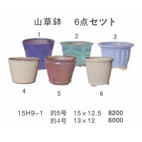 ミニ盆栽鉢セット（４号・５号６品）