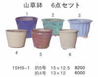 ミニ盆栽鉢セット（４号・５号６品）