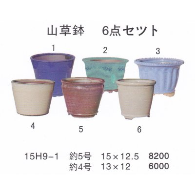 画像1: ミニ盆栽鉢セット（４号・５号６品）