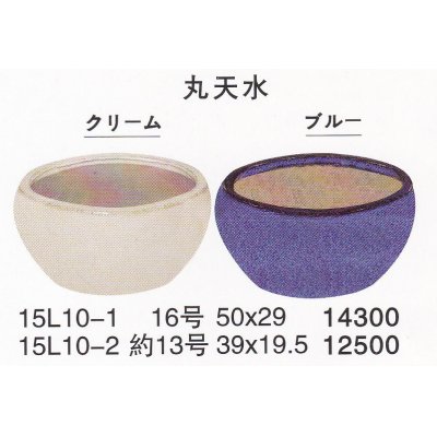 画像1: 水蓮鉢/金魚鉢