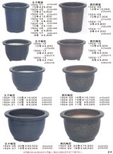 信楽焼大品盆栽鉢（カタログ）