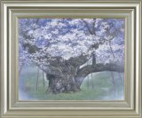 「淡墨桜（幻奏譜）」　作者/広森雄