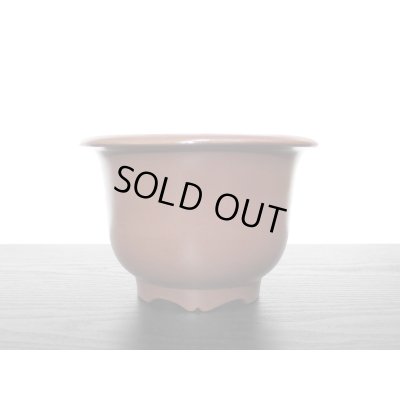 画像7: 常滑鉢　「山秋」　朱泥外縁懸崖丸鉢