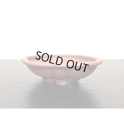 画像8: 常滑鉢　「美芸」　朱泥外縁木瓜鉢