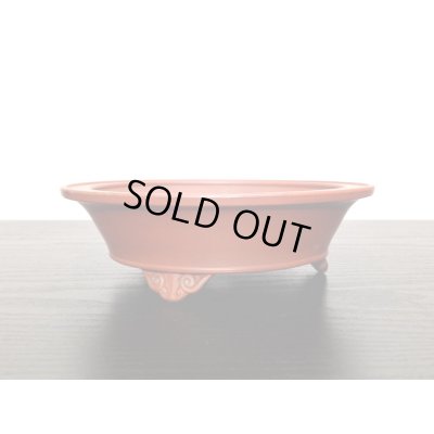 画像5: 常滑鉢 「美芸」 朱泥雲足外縁丸鉢