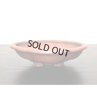 画像3: 常滑鉢　「美芸」　朱泥外縁木瓜鉢