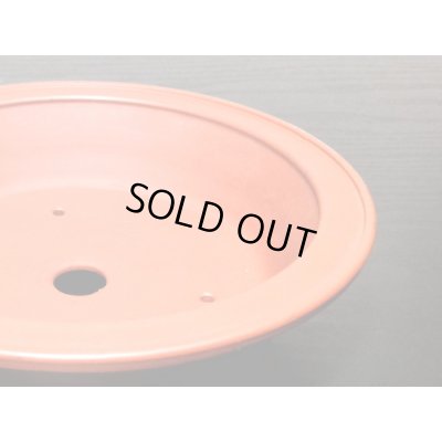 画像8: 常滑鉢 「美芸」 朱泥雲足外縁丸鉢