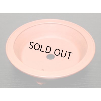 画像6: 常滑鉢 「美芸」 朱泥雲足外縁丸鉢