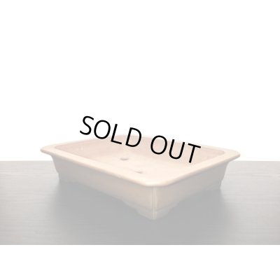 画像4: 常滑鉢　「中野行山」　紫泥隅入外縁長方鉢