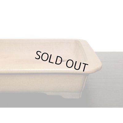 画像5: 常滑鉢　「中野行山」　紫泥隅入外縁長方鉢