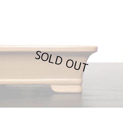 画像6: 常滑鉢　「中野行山」　桃花泥外縁長方鉢