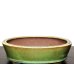 画像6: 常滑鉢　「松泉焼　山秋」　緑釉内縁楕円中浅鉢