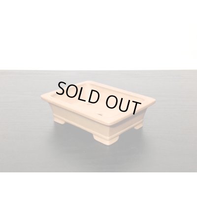 画像4: 常滑鉢　「中野行山」　桃花泥外縁長方鉢