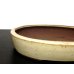 画像6: 常滑鉢　「松泉焼　山秋」　白釉内縁楕円鉢