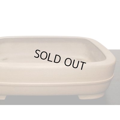 画像7: 常滑鉢　「中野行山」　紫泥胴紐撫角長方鉢