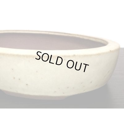 画像5: 常滑鉢　「松泉焼　山秋」　白釉内縁楕円鉢