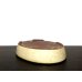 画像4: 常滑鉢　「松泉焼　山秋」　白釉内縁楕円鉢