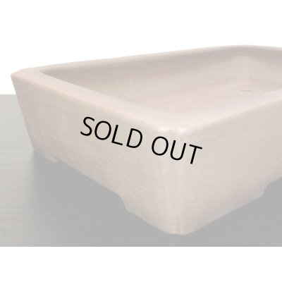 画像5: 常滑鉢　「中野行山」　紫泥内縁隅入長方鉢