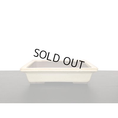 画像9: 常滑鉢　「山秋造印」　白釉外縁長方鉢