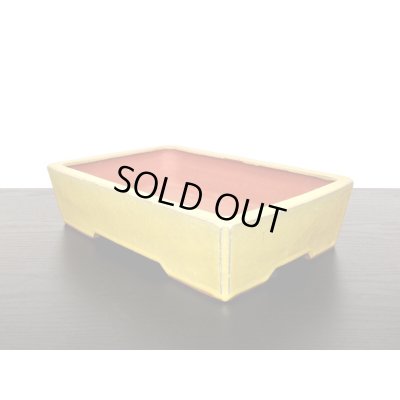 画像6: 常滑鉢　「英明　耀山」　黄釉内縁長方鉢