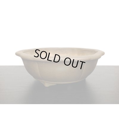 画像8: 常滑鉢　「小松泉　山秋」　外縁輪花鉢