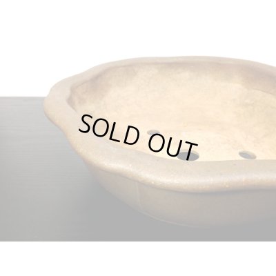 画像5: 常滑鉢　「小松泉　山秋」　外縁輪花鉢