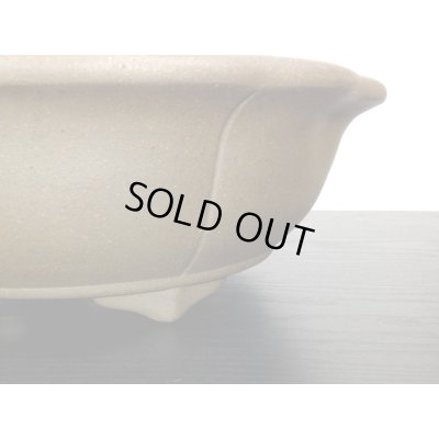 画像4: 常滑鉢　「小松泉　山秋」　外縁輪花鉢