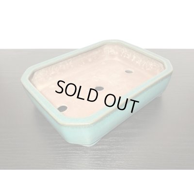 画像7: 常滑鉢 「松泉焼 山秋」 織部釉内縁長方鉢