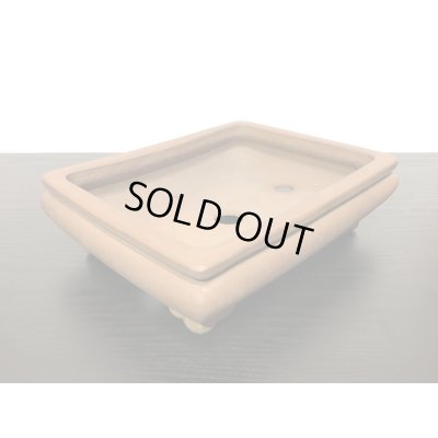 画像7: 常滑鉢　「銭号」　袋式雲脚長方鉢