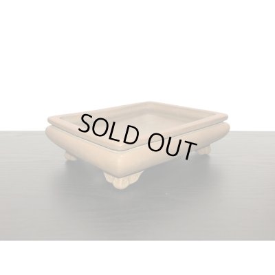 画像3: 常滑鉢　「銭号」　袋式雲脚長方鉢