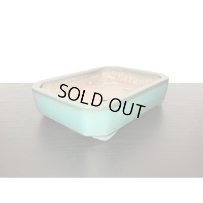 画像4: 常滑鉢 「松泉焼 山秋」 織部釉内縁長方鉢