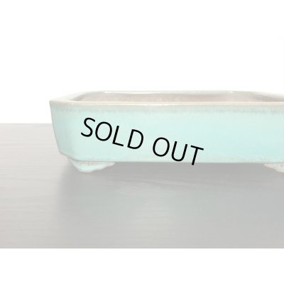 画像6: 常滑鉢 「松泉焼 山秋」 織部釉内縁長方鉢